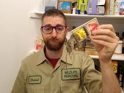 Houston pest control